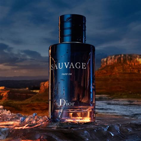 suvage dior men|Dior sauvage cheapest price 100ml.